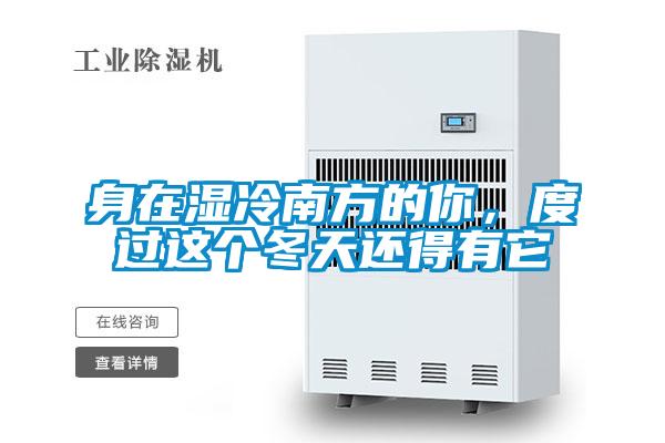 身在濕冷南方的你,度過這個冬天還得有它