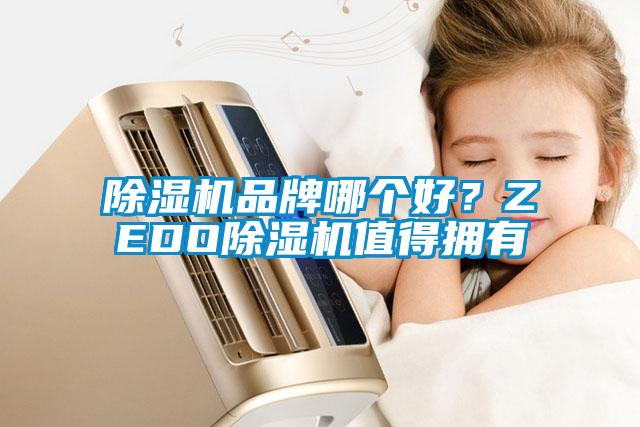 除濕機品牌哪個好？ZEDO除濕機值得擁有