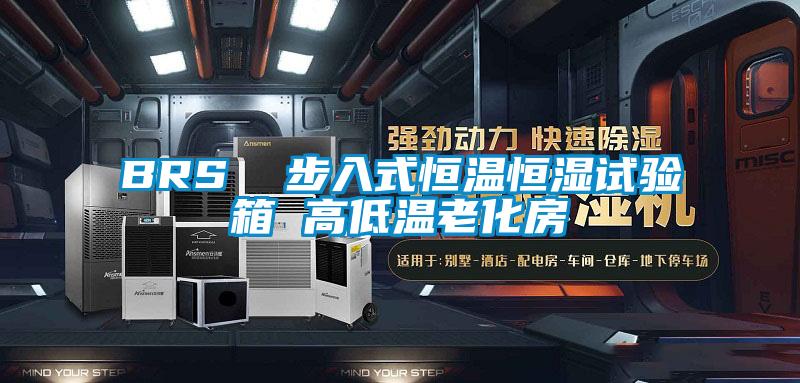 BRS  步入式恒溫恒濕試驗箱 高低溫老化房