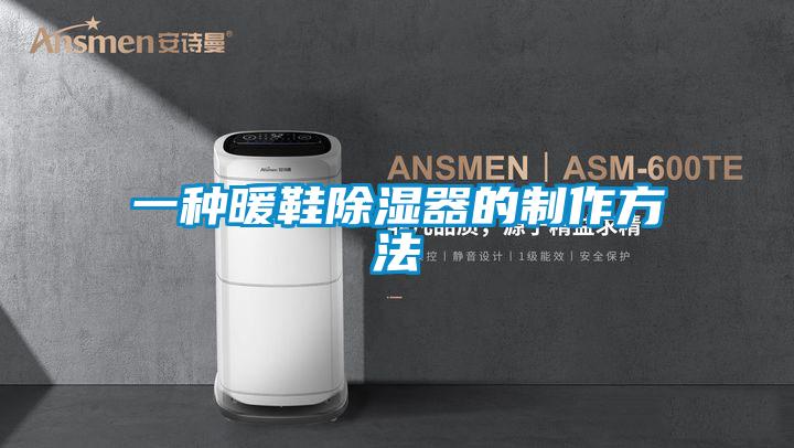 一種暖鞋除濕器的制作方法