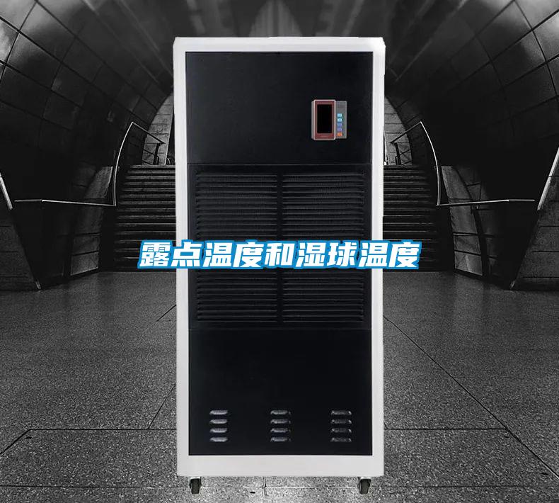 露點溫度和濕球溫度