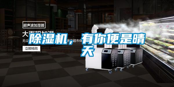 除濕機，有你便是晴天