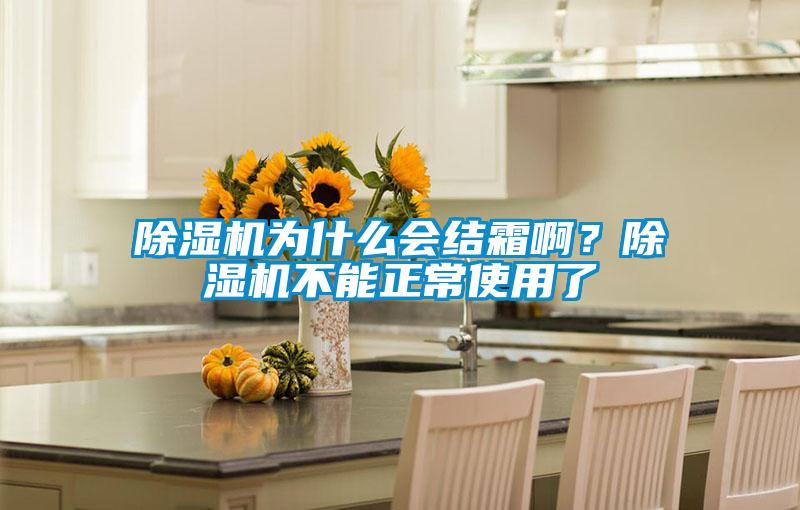 除濕機為什么會結霜啊？除濕機不能正常使用了