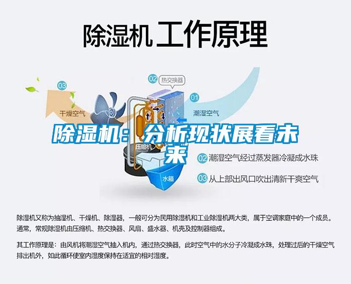 除濕機：分析現狀展看未來