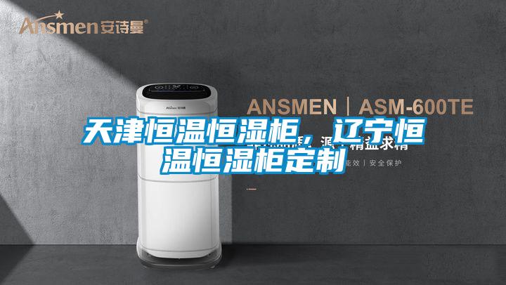 天津恒溫恒濕柜，遼寧恒溫恒濕柜定制