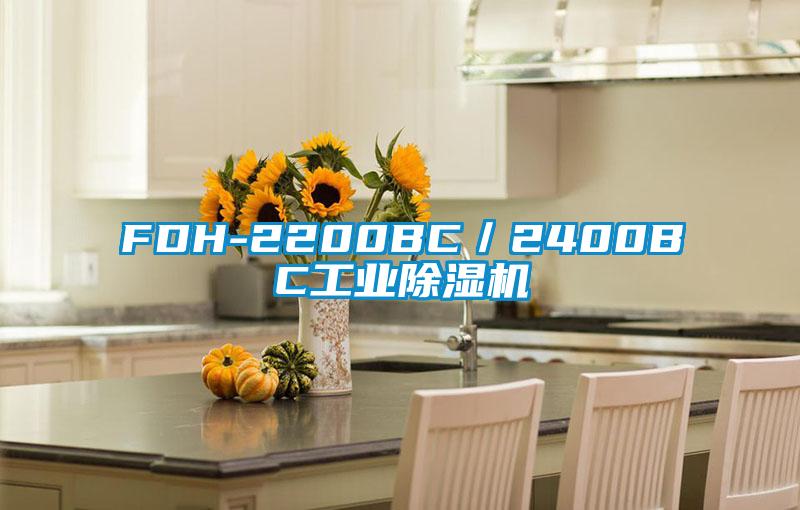 FDH-2200BC/2400BC工業除濕機