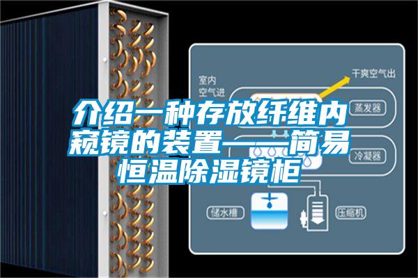 介紹一種存放纖維內窺鏡的裝置——簡易恒溫除濕鏡柜