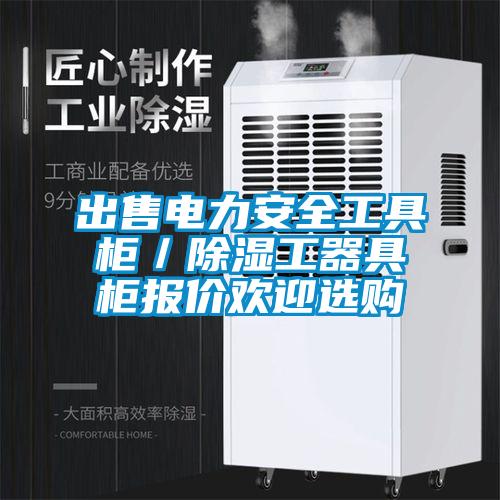 出售電力安全工具柜／除濕工器具柜報價歡迎選購