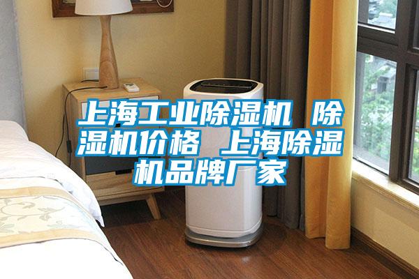 上海工業除濕機 除濕機價格 上海除濕機品牌廠家