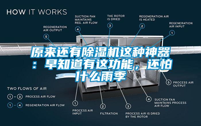 原來還有除濕機(jī)這種神器：早知道有這功能，還怕什么雨季