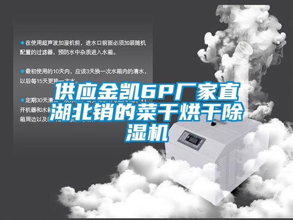 供應金凱6P廠家直湖北銷的菜干烘干除濕機