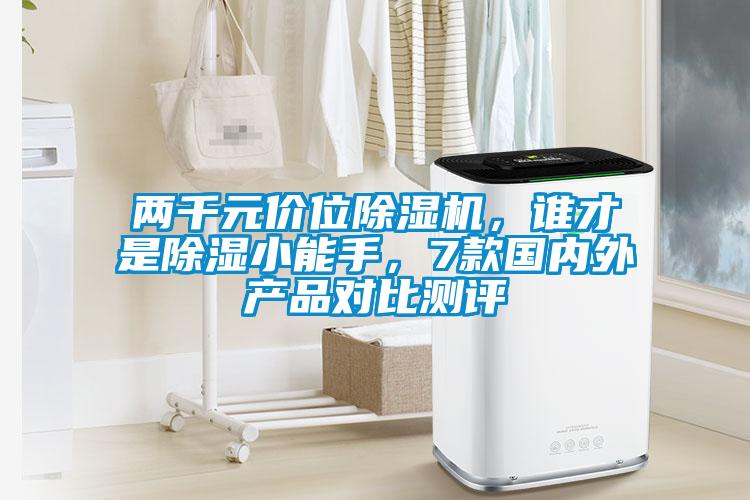 兩千元價位除濕機，誰才是除濕小能手，7款國內外產品對比測評