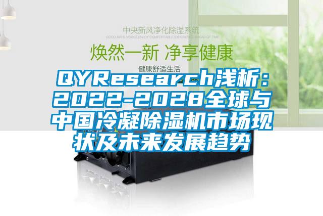 QYResearch淺析：2022-2028全球與中國冷凝除濕機市場現(xiàn)狀及未來發(fā)展趨勢