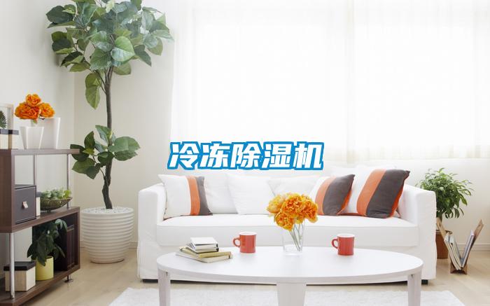 冷凍除濕機(jī)