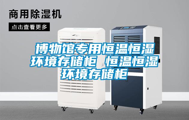 博物館專用恒溫恒濕環(huán)境存儲(chǔ)柜 恒溫恒濕環(huán)境存儲(chǔ)柜