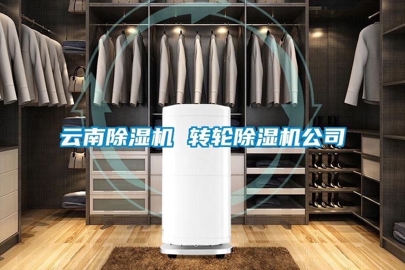 云南除濕機 轉(zhuǎn)輪除濕機公司