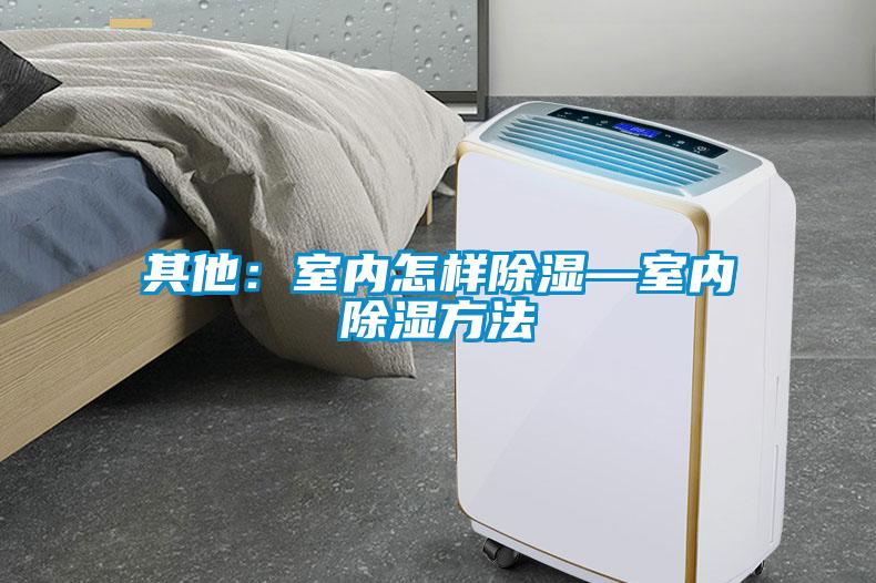 其他：室內怎樣除濕—室內除濕方法