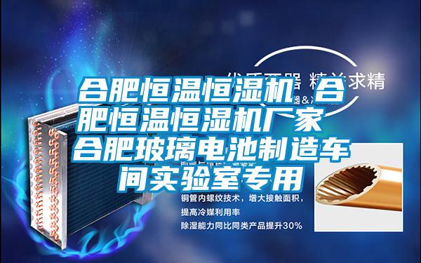 合肥恒溫恒濕機 合肥恒溫恒濕機廠家 合肥玻璃電池制造車間實驗室專用