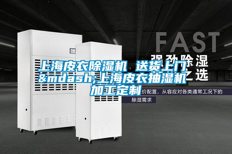 上海皮衣除濕機 送貨上門 &mdash;上海皮衣抽濕機 加工定制