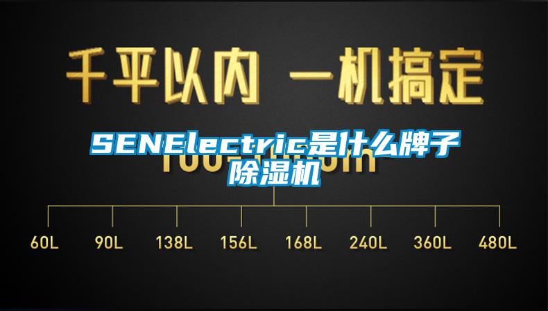 SENElectric是什么牌子除濕機