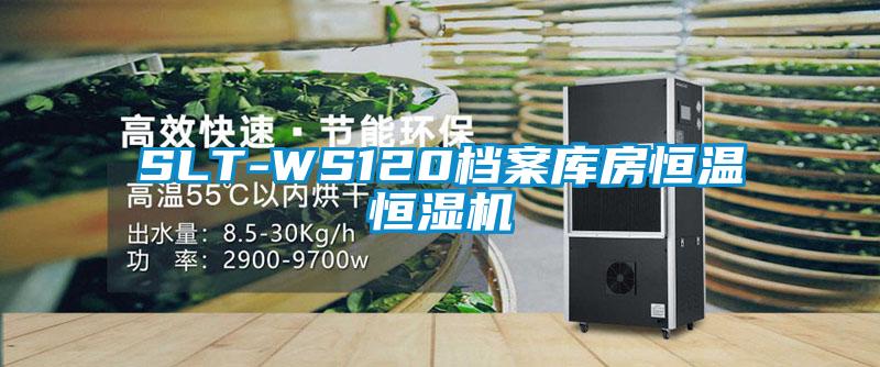 SLT-WS120檔案庫房恒溫恒濕機