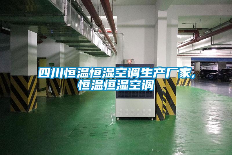 四川恒溫恒濕空調生產廠家,恒溫恒濕空調