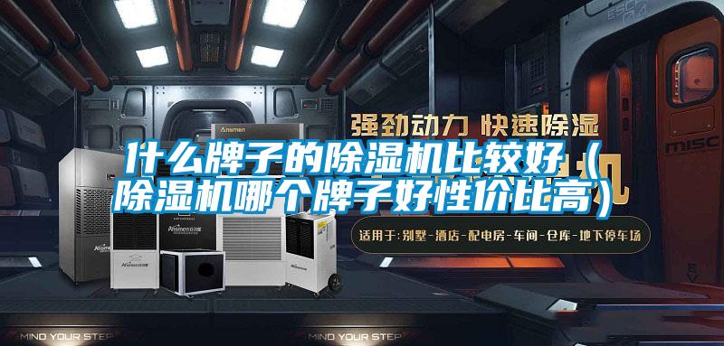 什么牌子的除濕機(jī)比較好（除濕機(jī)哪個(gè)牌子好性價(jià)比高）