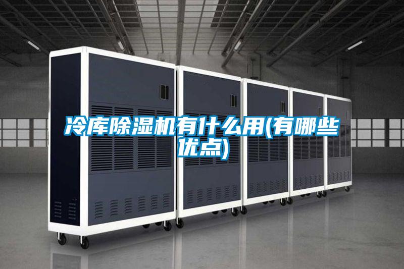 冷庫(kù)除濕機(jī)有什么用(有哪些優(yōu)點(diǎn))