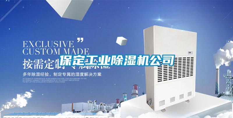 保定工業(yè)除濕機公司