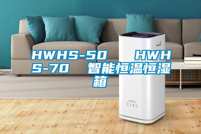 HWHS-50   HWHS-70  智能恒溫恒濕箱