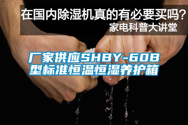 廠家供應SHBY-60B型標準恒溫恒濕養護箱