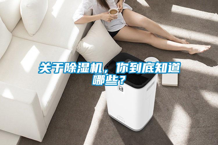 關(guān)于除濕機(jī)，你到底知道哪些？