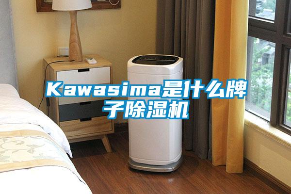 Kawasima是什么牌子除濕機