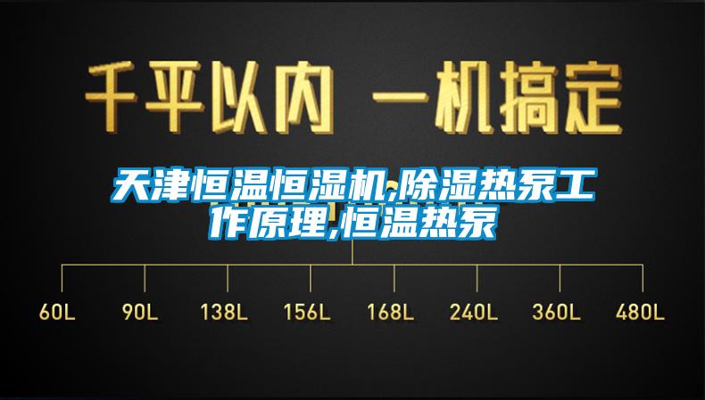 天津恒溫恒濕機,除濕熱泵工作原理,恒溫熱泵
