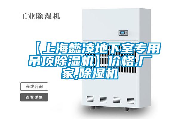 【上海懿凌地下室專用吊頂除濕機】價格,廠家,除濕機