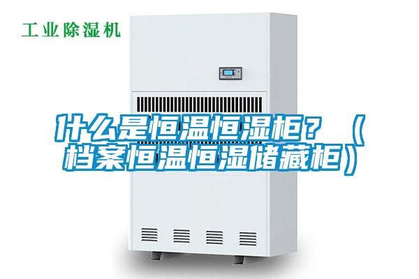 什么是恒溫恒濕柜？（檔案恒溫恒濕儲藏柜）