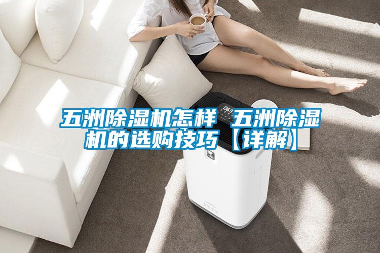 五洲除濕機怎樣 五洲除濕機的選購技巧【詳解】
