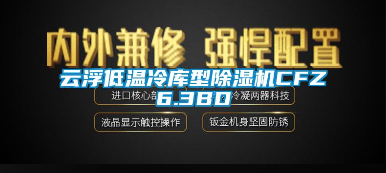云浮低溫冷庫型除濕機CFZ6.3BD