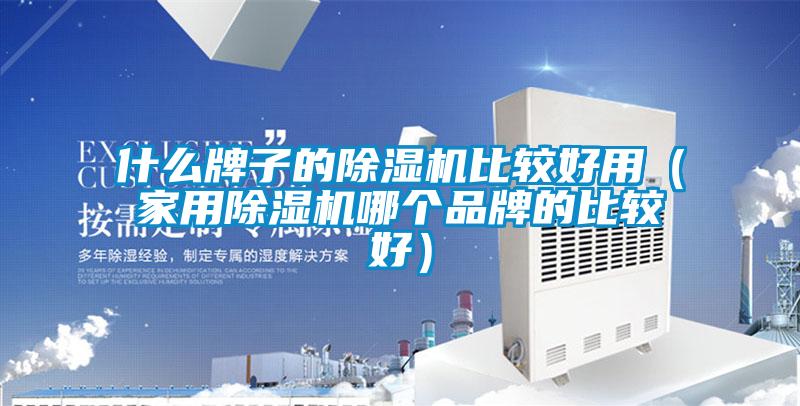 什么牌子的除濕機比較好用（家用除濕機哪個品牌的比較好）