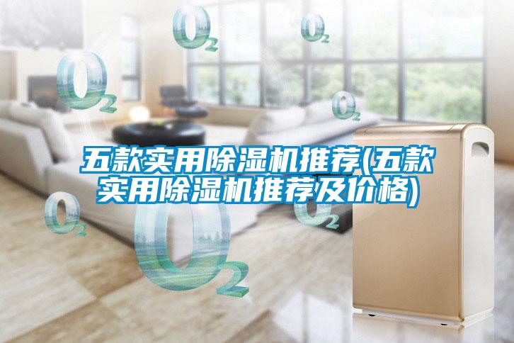 五款實用除濕機推薦(五款實用除濕機推薦及價格)