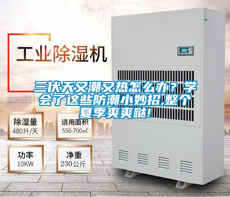 三伏天又潮又熱怎么辦？學會了這些防潮小妙招,整個夏季爽爽噠!