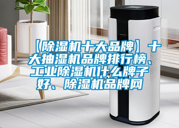 【除濕機十大品牌】十大抽濕機品牌排行榜、工業除濕機什么牌子好、除濕機品牌網