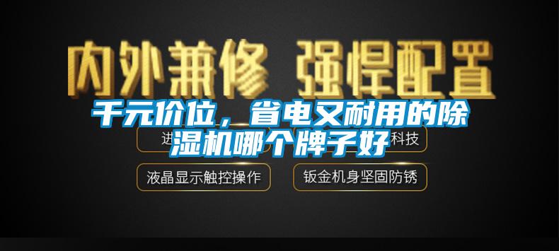 千元價(jià)位，省電又耐用的除濕機(jī)哪個(gè)牌子好