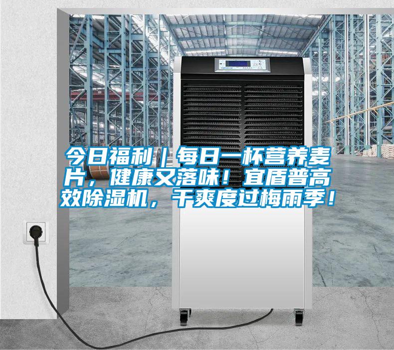 今日福利｜每日一杯營養麥片，健康又落味！宜盾普高效除濕機，干爽度過梅雨季！