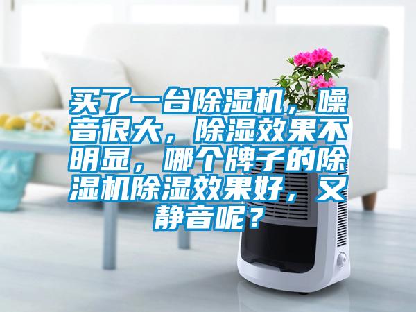 買了一臺除濕機,噪音很大,除濕效果不明顯,哪個牌子的除濕機除濕效果好,又靜音呢?
