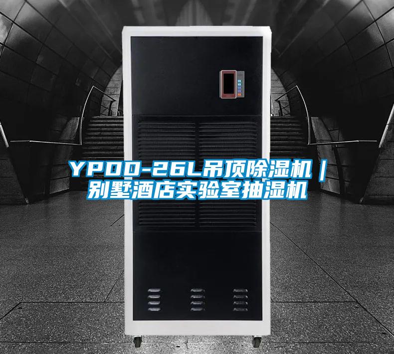 YPDD-26L吊頂除濕機｜別墅酒店實驗室抽濕機