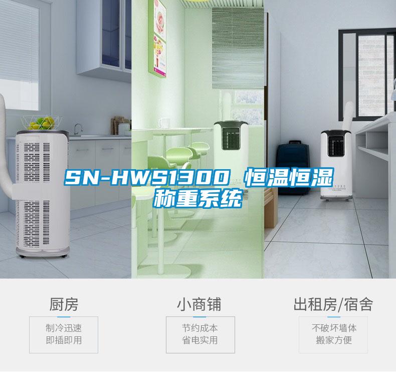 SN-HWS1300 恒溫恒濕稱重系統(tǒng)