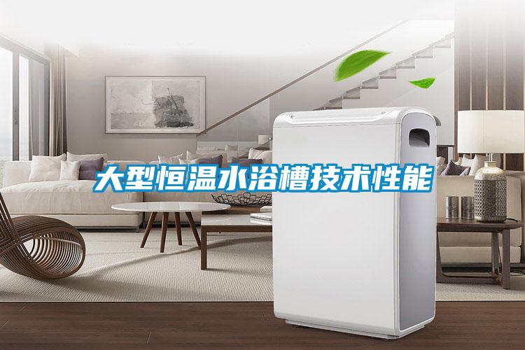 大型恒溫水浴槽技術(shù)性能