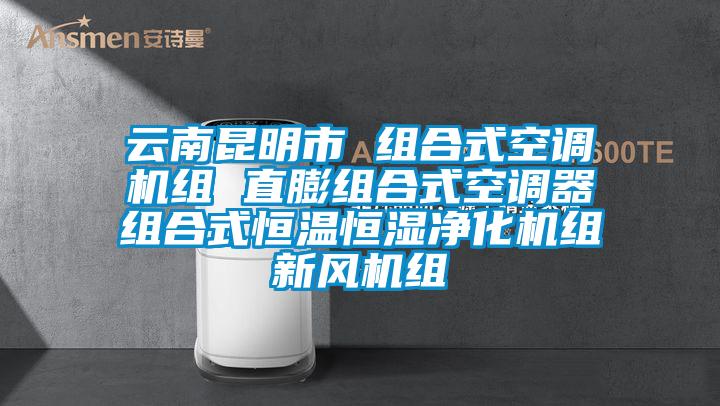 云南昆明市 組合式空調(diào)機組 直膨組合式空調(diào)器組合式恒溫恒濕凈化機組新風(fēng)機組