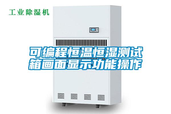 可編程恒溫恒濕測試箱畫面顯示功能操作